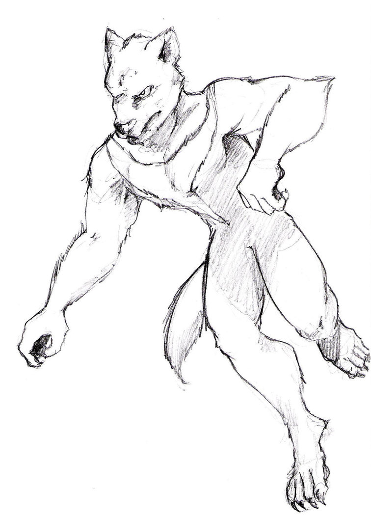 756x1057 Tasmanian Devil Sketch By Jim Cacciabando Jr