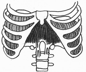 300x250 Did You Finish Breathing Yet