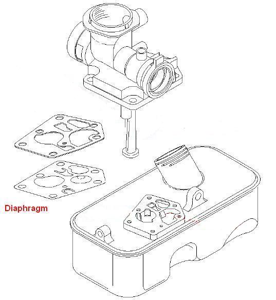 Diaphragm Drawing at GetDrawings | Free download