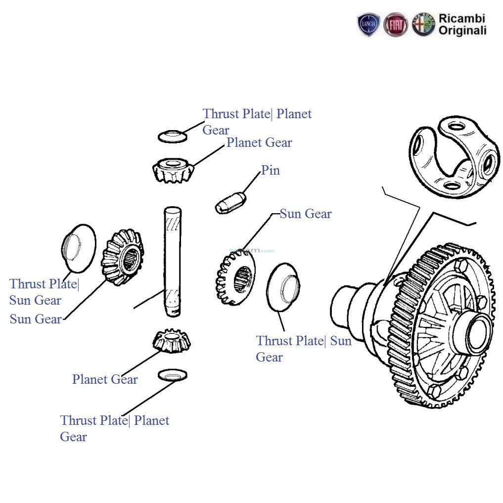 1017x1017 Fiat Palio Stile 1.6 Petrol Differential Gears
