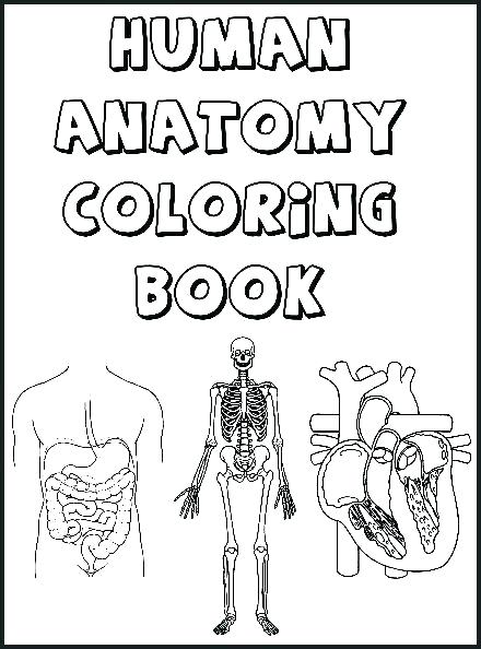 440x594 Sketch For Human Digestive System Easy Drawing Coloring Page Home