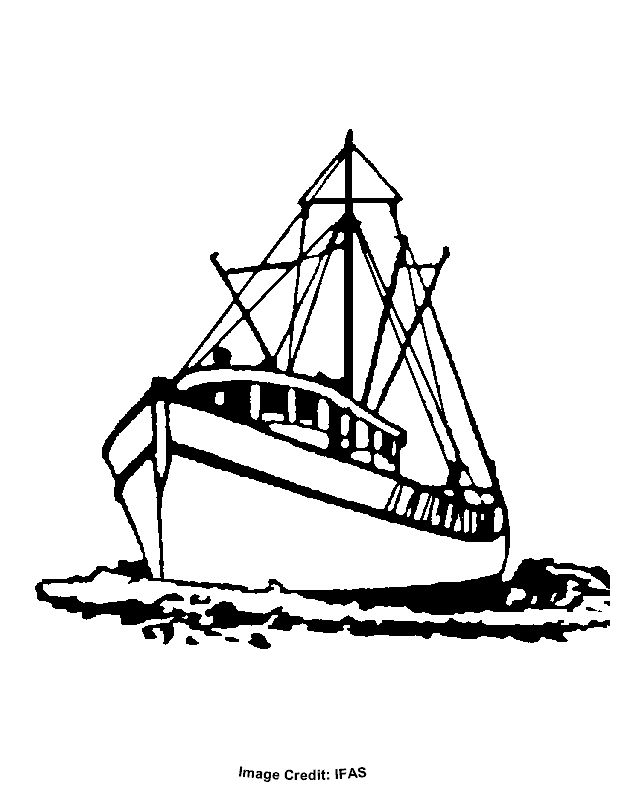 628x796 Drawn Boat Black And White