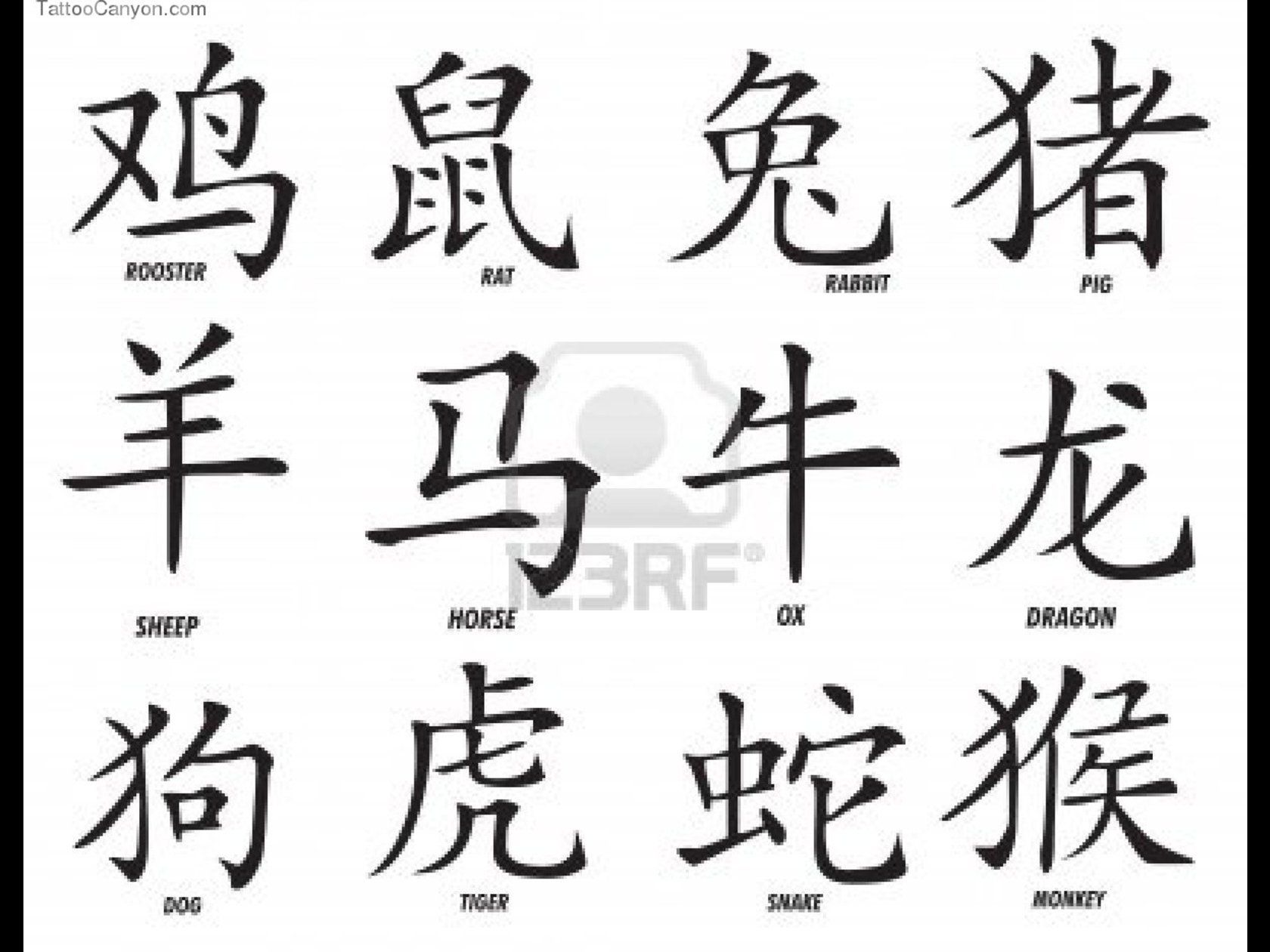 1680x1260 San Francisco Skyline Drawing Lion King Broadway Tickets Discount