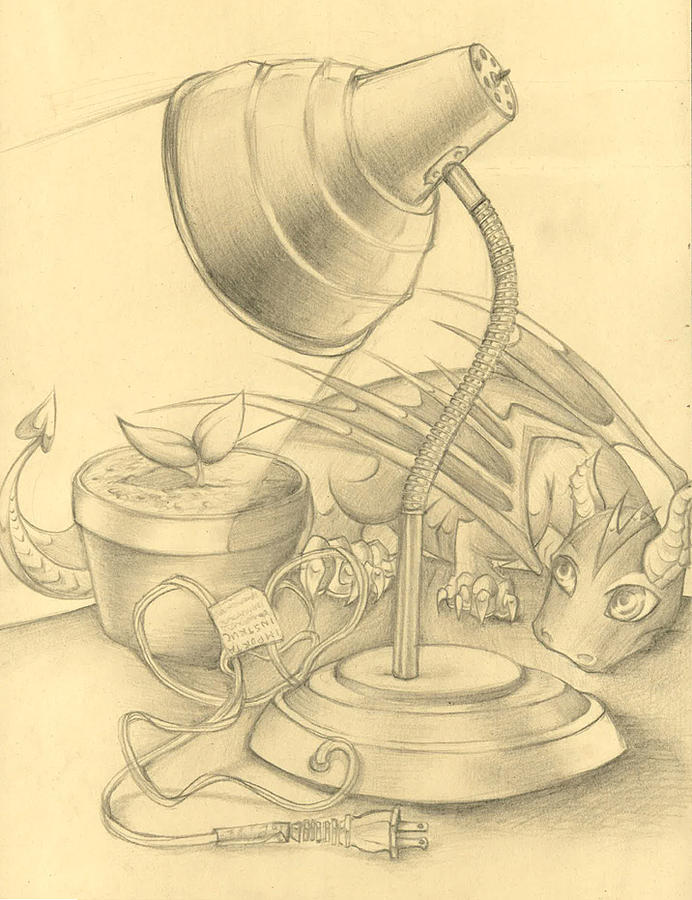 692x900 Discovery Drawing By Emily Yip