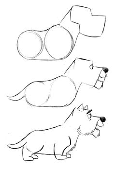 236x352 Learn To Draw Animals. Discussion On Liveinternet