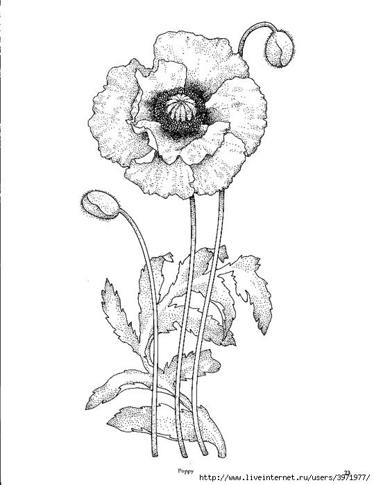 539x700 Schemes For Embroidery Colors. Discussion On Liveinternet