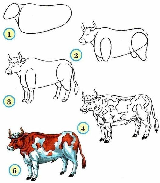 528x604 Learn To Draw Animals. Discussion On Liveinternet