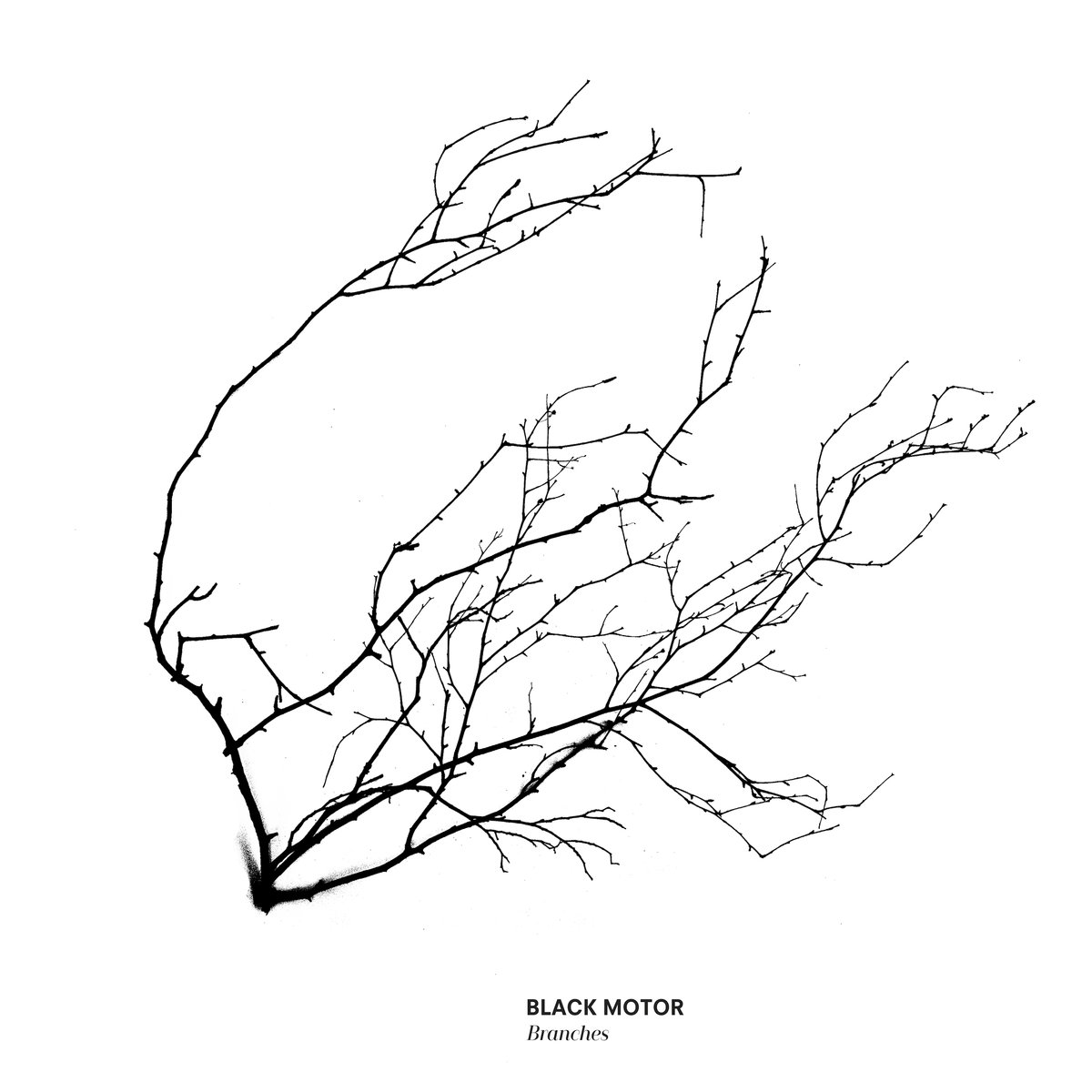 1200x1200 Longer The Distance, Sweeter The Sound We Jazz Records