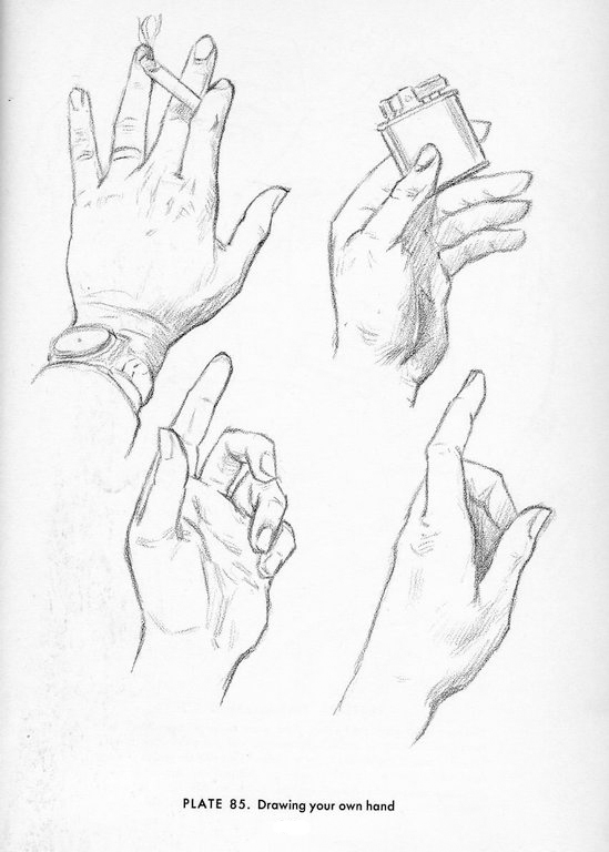 549x768 Drawings Body Parts