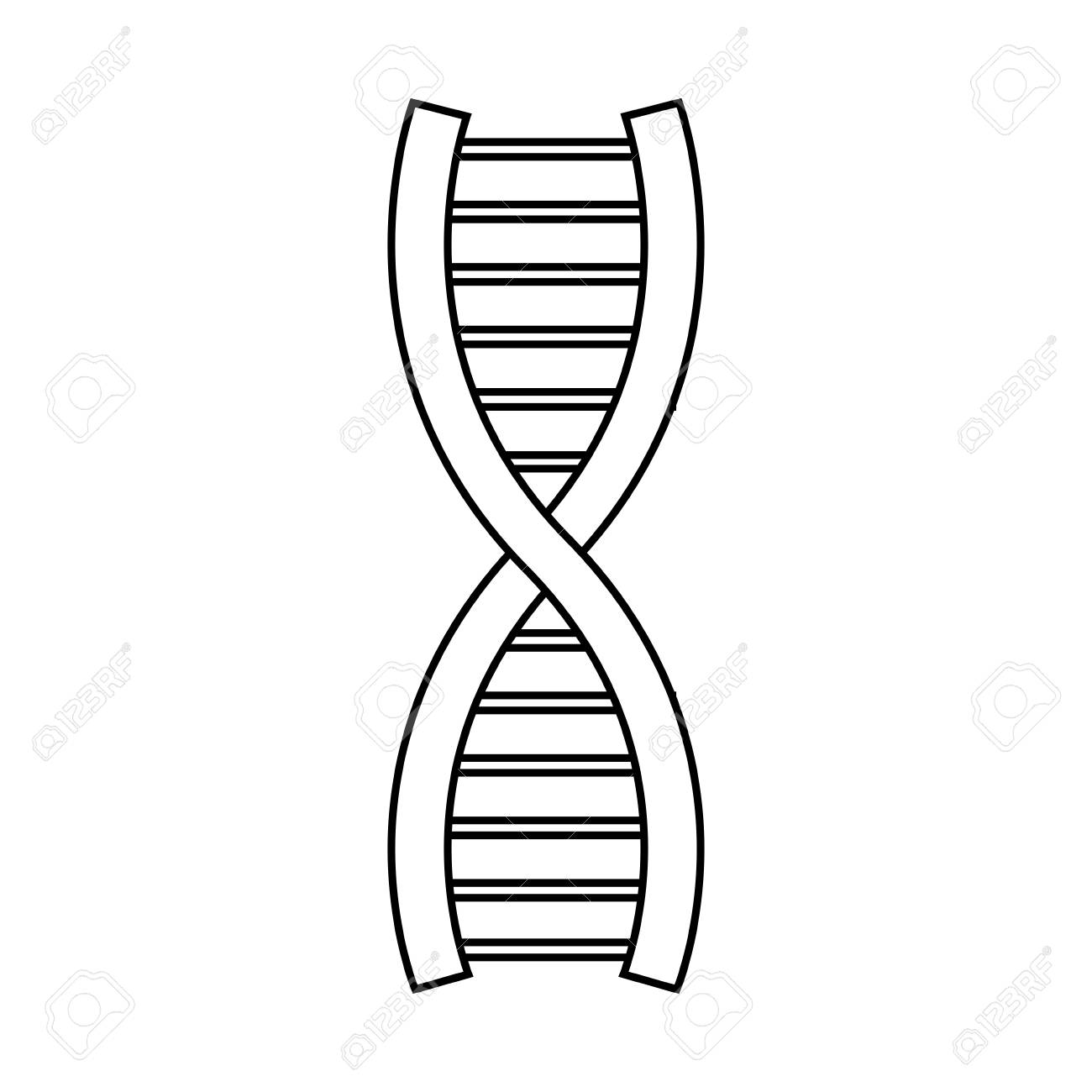 1300x1300 Dna Structure Clipart Design