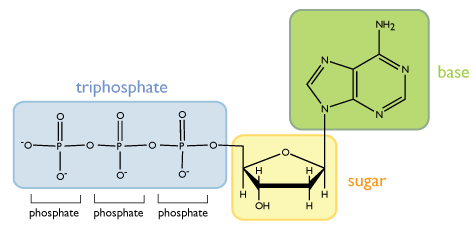 476x239 Life Sciences Cyberbridge