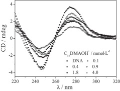240x181 Controlled Compaction And Decompaction Of Dna By Zwitterionic