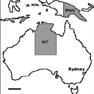 320x320 Fig. 2. Molecular Typing Profiles Generated Via Rflp Analysis