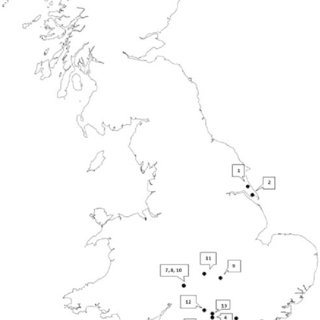 320x320 Fig. 5 Ampliwcation Of Locus Rgl La In B. Rapa, B. Napus And B