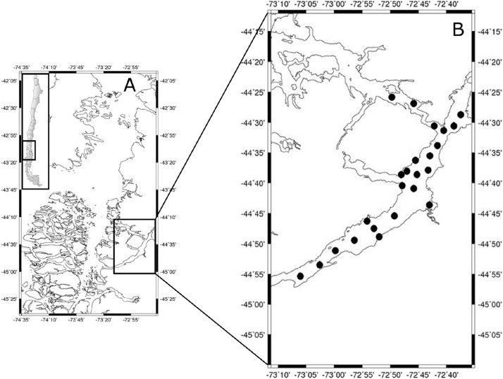 714x538 High Genetic Variability Of Alexandrium Catenella Directly