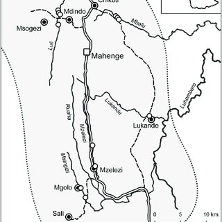 320x320 Representative Its1 Banding Patterns Visualised Alongside 100 Bp