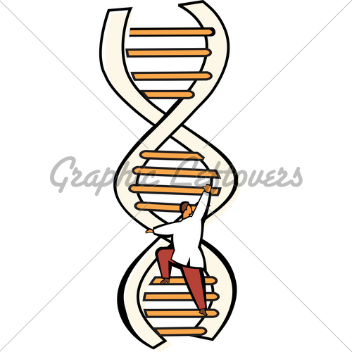 500x500 Collection Of Dna Ladder Drawing High Quality, Free Cliparts