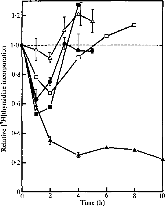 570x712 Figure 4 From Dna Replication And Repair Of Tilapia Cells. Ii