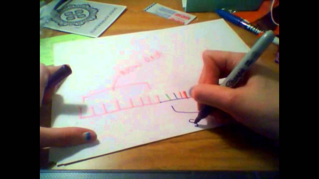 1024x576 Dna Replication A Drawing