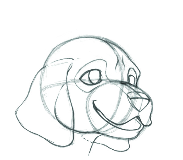 600x526 National Dog Day How To Draw A Dog Face