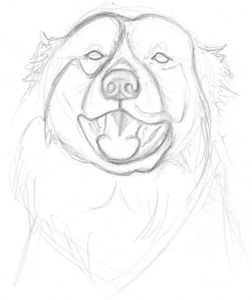 364x432 Drawing American Dog Blog