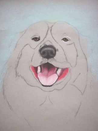 324x432 The 8 Best Dog Mouth Images On Draw Animals, Drawing