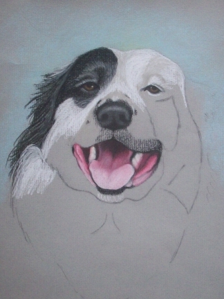 324x432 Drawing American Dog Blog