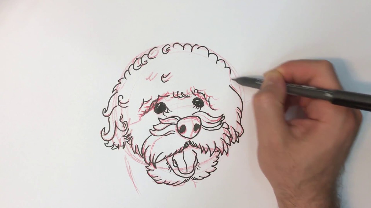 1280x720 How To Draw A Dog ( Miniature Poodle )