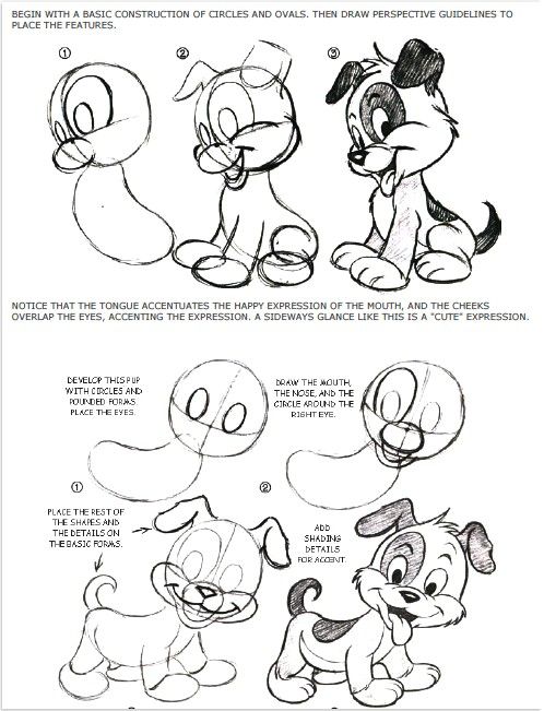 498x651 Drawing Tutorials Pencil Drawing Tutorials Puppy