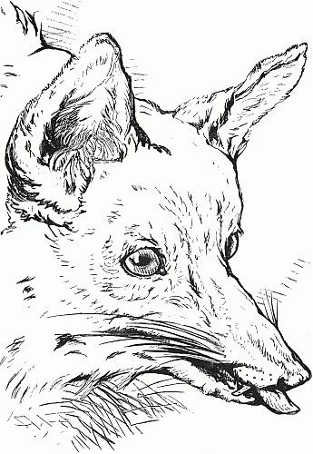 345x500 Re Usable Art. Copyright Free And Public Domain. Design