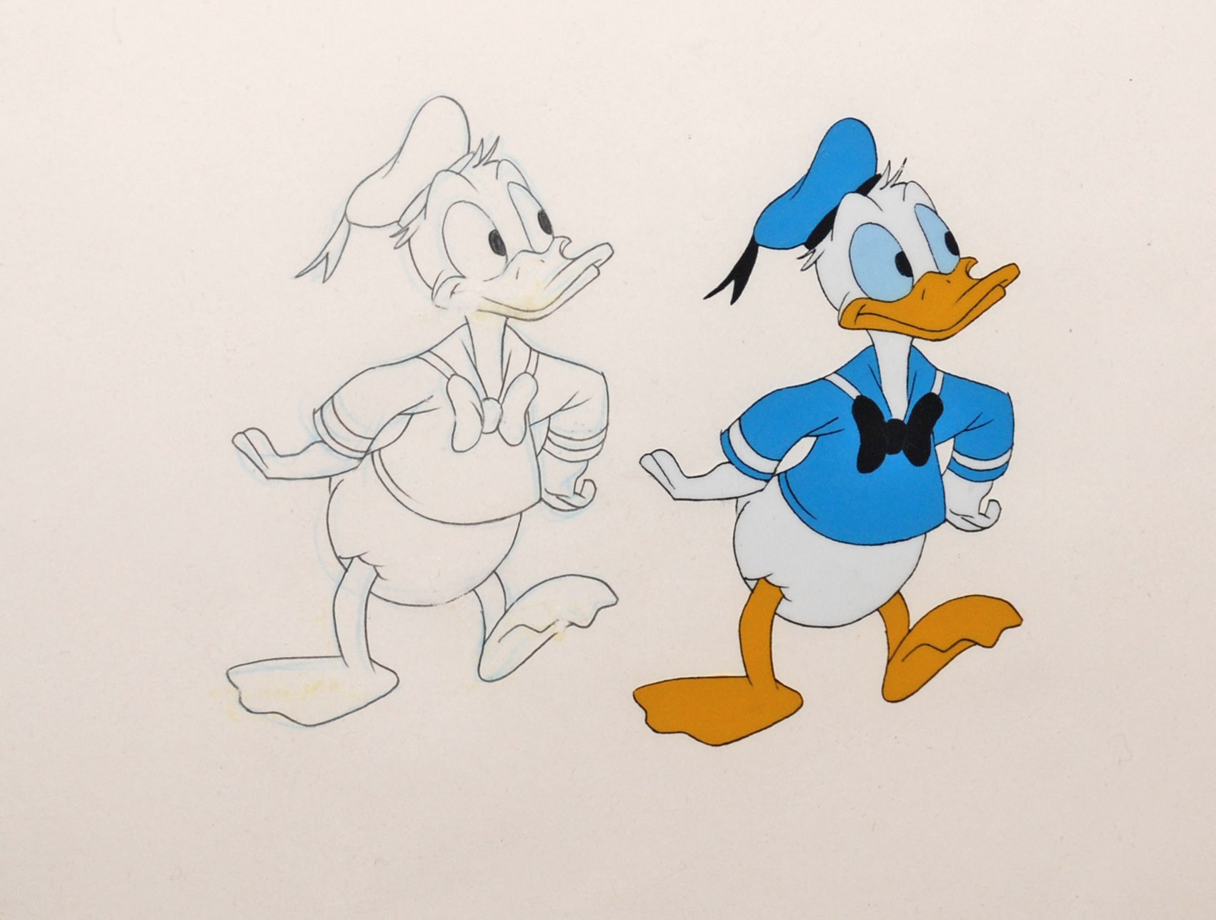 1702x1287 Donald Duck Animation Sensations