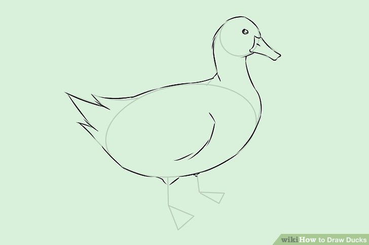 728x485 How To Draw Ducks (With Pictures)