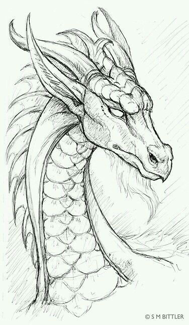 376x648 Dragon Pencil Drawing Art Dragons, Drawings