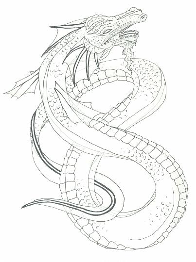 403x540 Dragon Pencil Sketch By Nitrocess