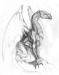 236x297 Dragon Side Profile View Pencil Drawing By Rachael Bridge