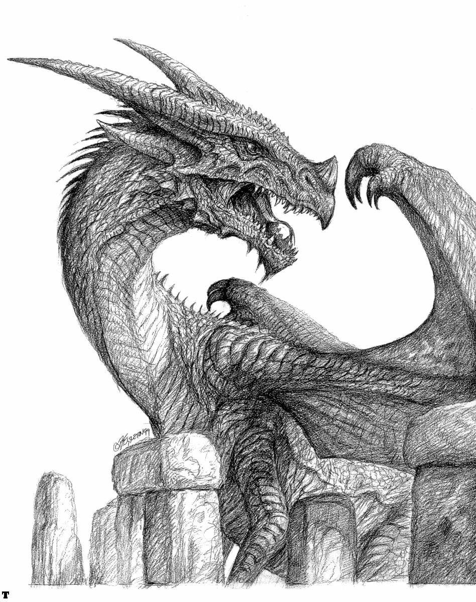 948x1200 Drawn Dragon. Drawings Dragons, Fantasy Art