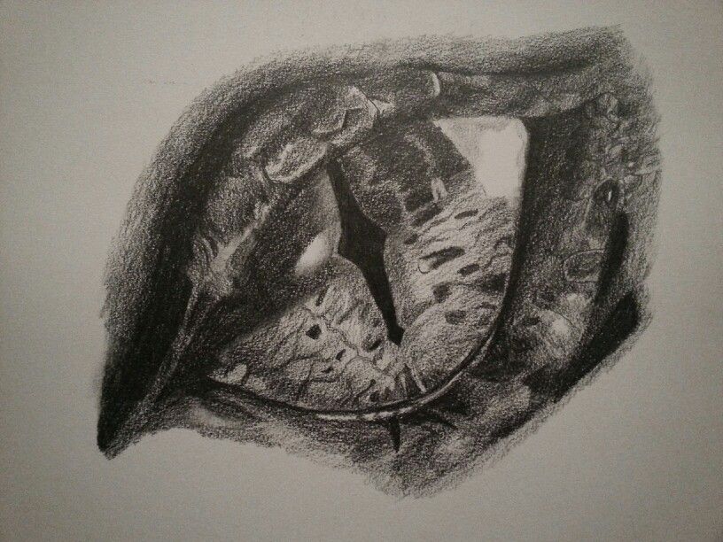 816x612 My First Project For Art! Only One Night To Do It Too! Yippe