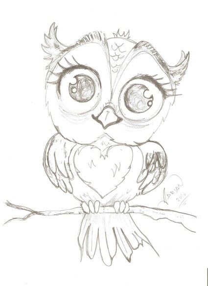 425x585 Cute Owl Owls