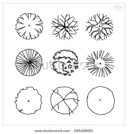 450x470 Landscape Design Drawing Templates Set Of Tree Plan Symbols