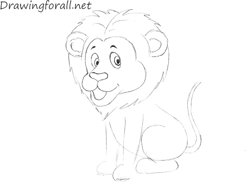 1000x762 Baby Lion Drawing Step By Step