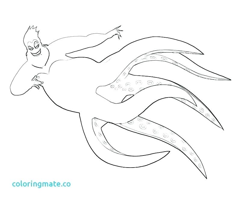 800x667 Les Petites Pages A Colorier De Sirene Smirk Star Of Coloring