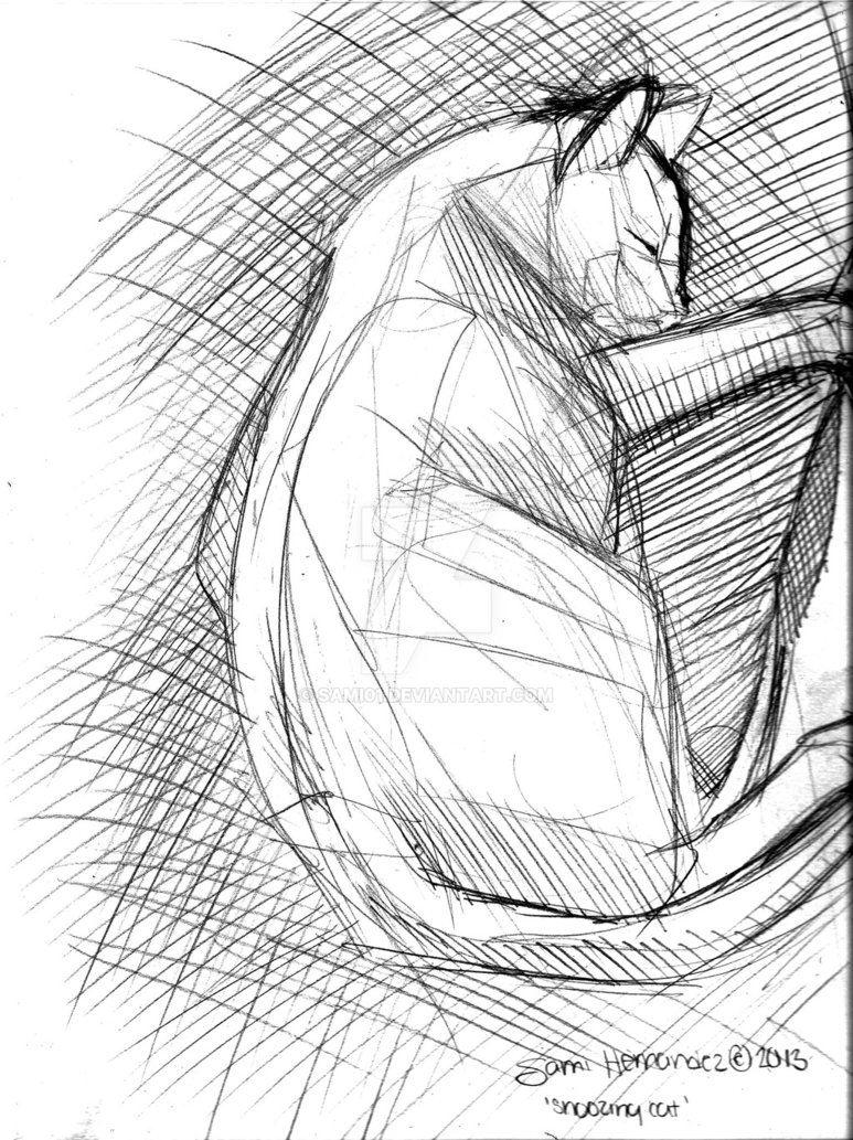 773x1033 Snoozing Cat Planar Analysis By Sami01