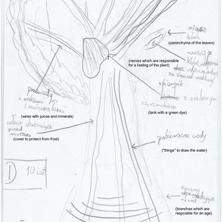 320x320 Analysis Of The Differences The Representation Of Categories