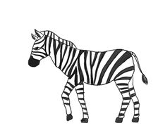 224x192 Drawing Animals