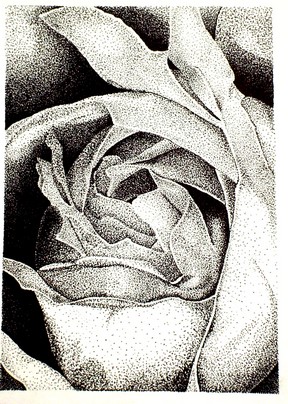 288x404 Photos Drawing Assignments For College,