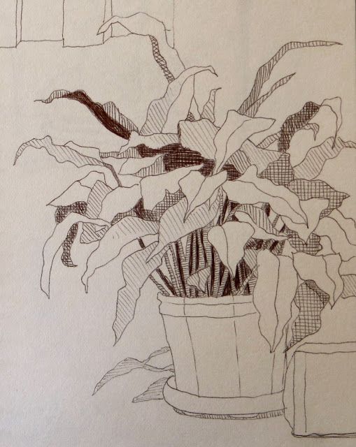 509x640 Flowers Sketchbook Assignments Examples