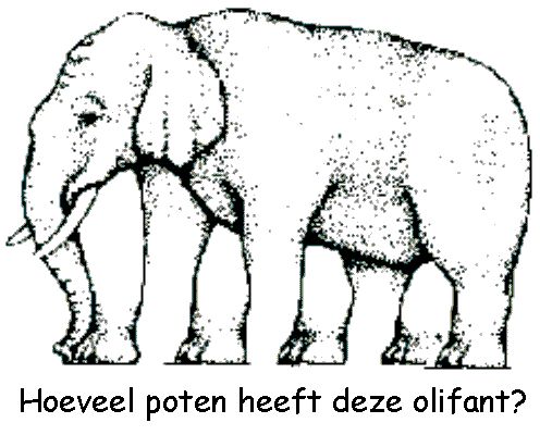 496x400 89 Best Brain Teasers Amp Illusions Images On Brain