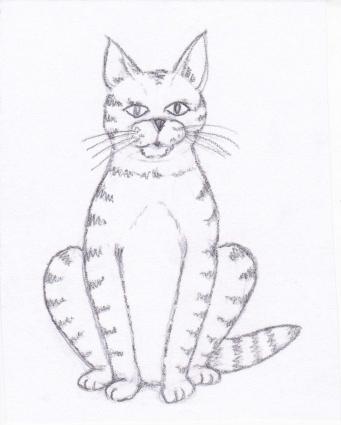 341x425 How To Draw A Cat