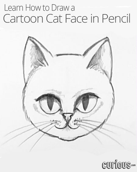 450x563 Immortalize Your Favorite Pet With This Lesson That Teaches You