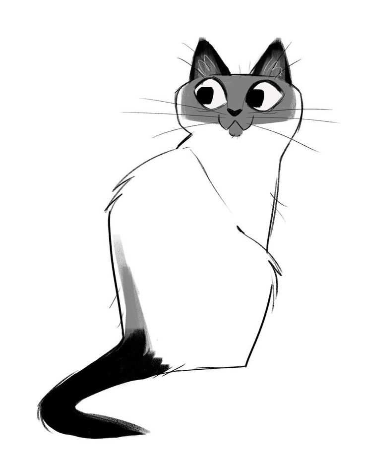 736x920 90 Best Daily Cat Drawings !! Images On Cat Drawing